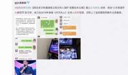 娱乐爆料视频怎么做的,幕后技巧与热门案例解析
