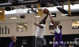 美媒爆料夺冠了吗视频,夺冠了吗视频成功助力团队夺冠